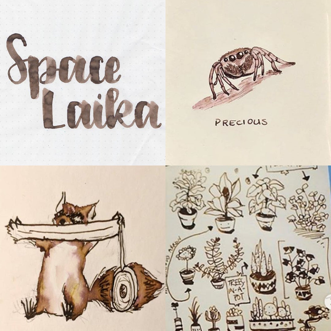 Colorverse Fountain Pen Ink | Spaceward Series | Space Laika | Dark Brown | 65ml &amp; 15ml | 2 Bottle Set