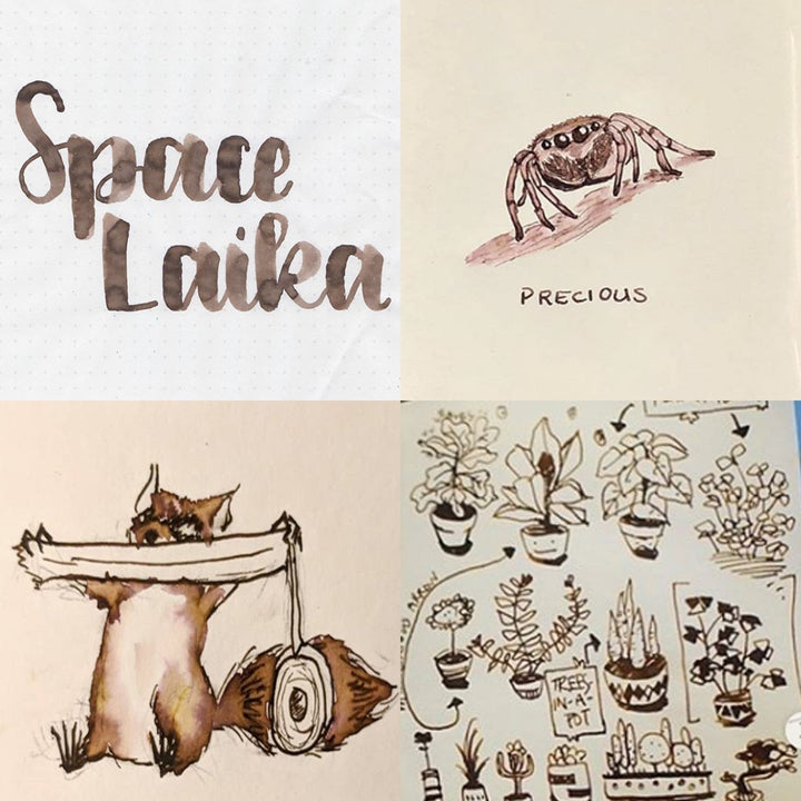 Colorverse Fountain Pen Ink | Spaceward Series | Space Laika | Dark Brown | 65ml &amp; 15ml | 2 Bottle Set