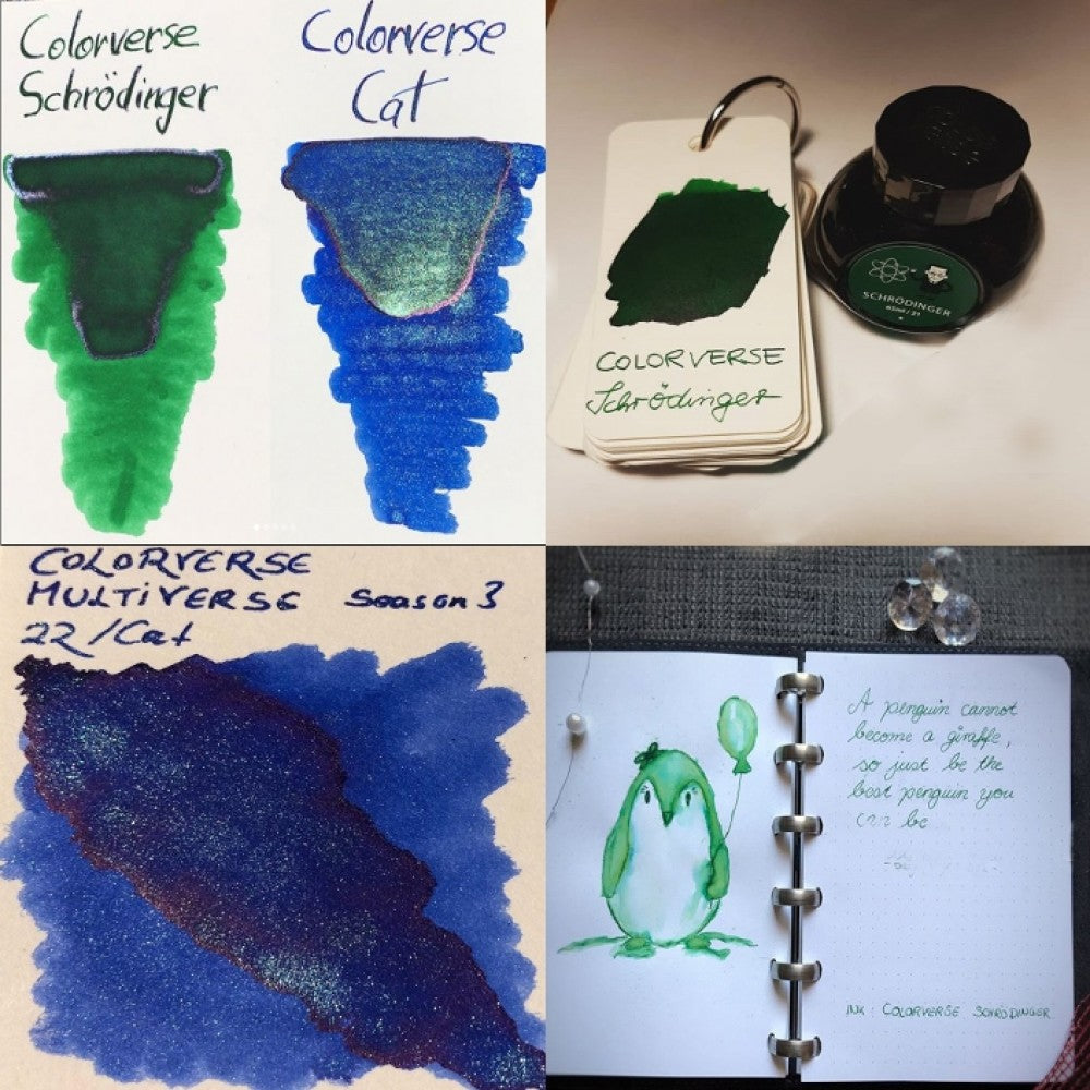 Colorverse | Multiverse Series | Season 3 | Fountain Pen Ink | Schrodinger | Green | 65ml and 15ml | 2 Bottle Set - Aarcaai