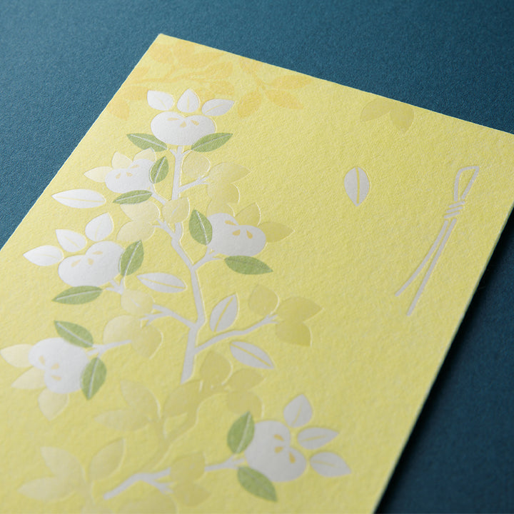 Midori Money Envelope 587 Citrus Tachibana