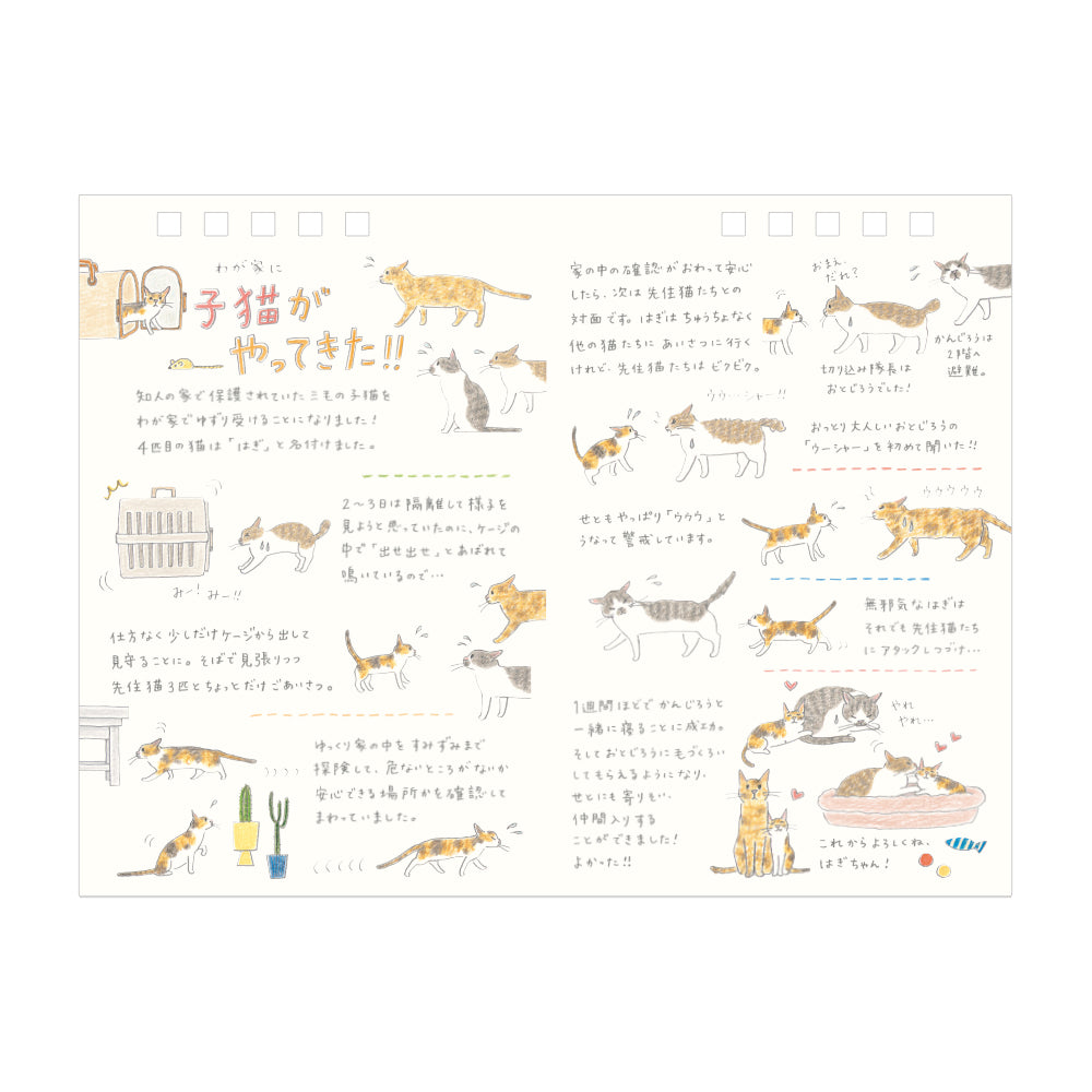 Midori Calendar Ring Cat 2026 - M