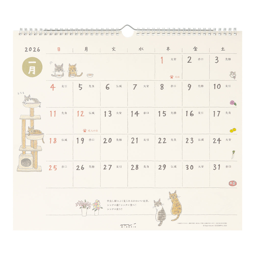 Midori Calendar Wall-Hanging L Cat 2026