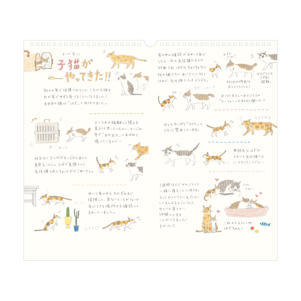 Midori Calendar Wall-Hanging L Cat 2026