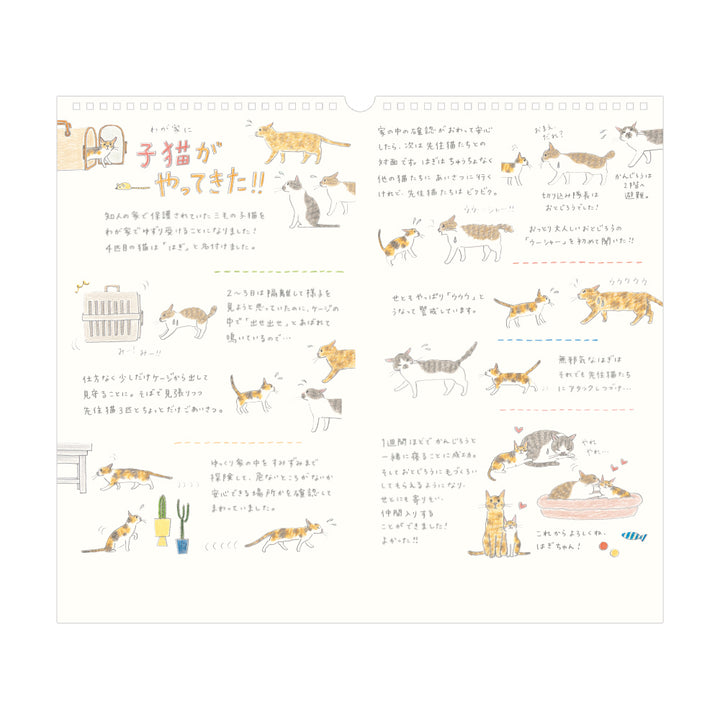 Midori Calendar Wall-Hanging L Cat 2026