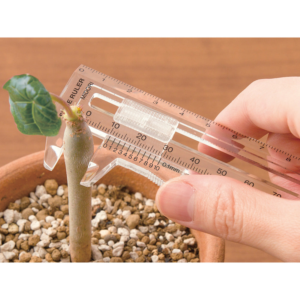 Midori CL Thickness Ruler - Transparent