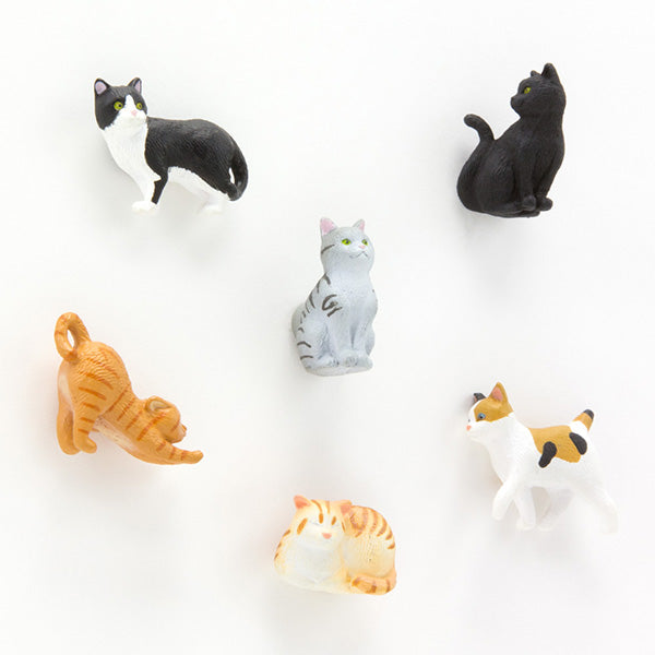 Midori Mini Magnets - Cat B