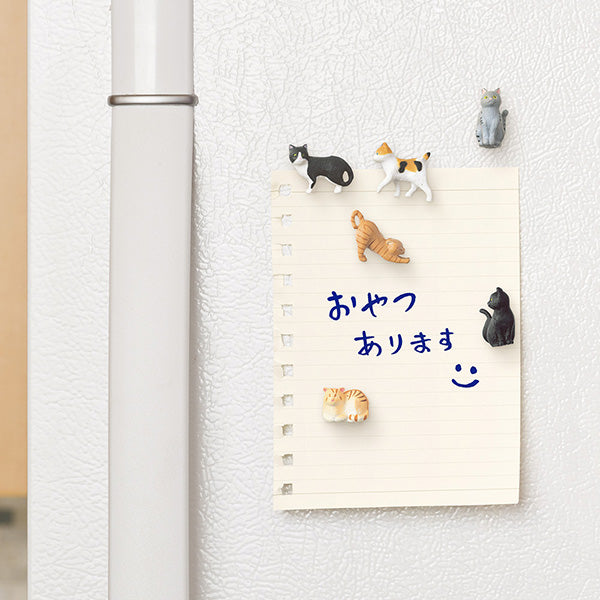 Midori Mini Magnets - Cat B