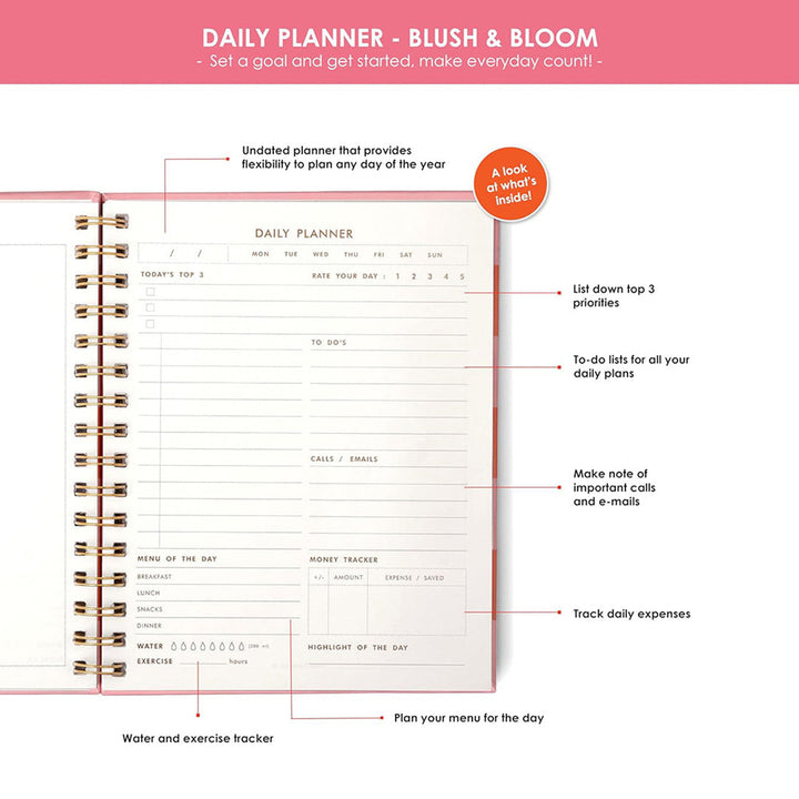 7mm Between the Lines | Daily Undated Planner Notebook | Blush &amp; Bloom | 150 Pages