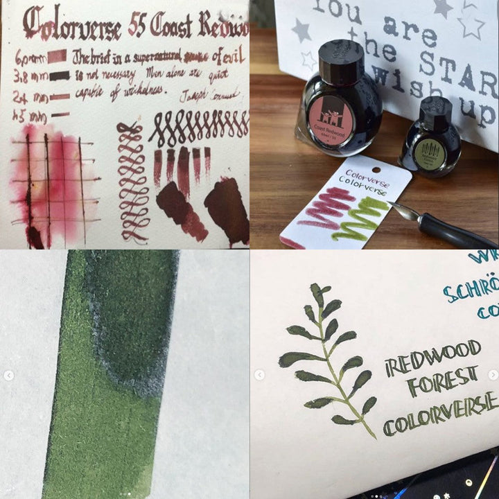 Colorverse | Earth Edition | Coast Redwood (Brown) - Redwood Forest (Dark Green) | Fountain Pen Ink | 65ml and 15ml | 2 Bottle Set - Aarcaai