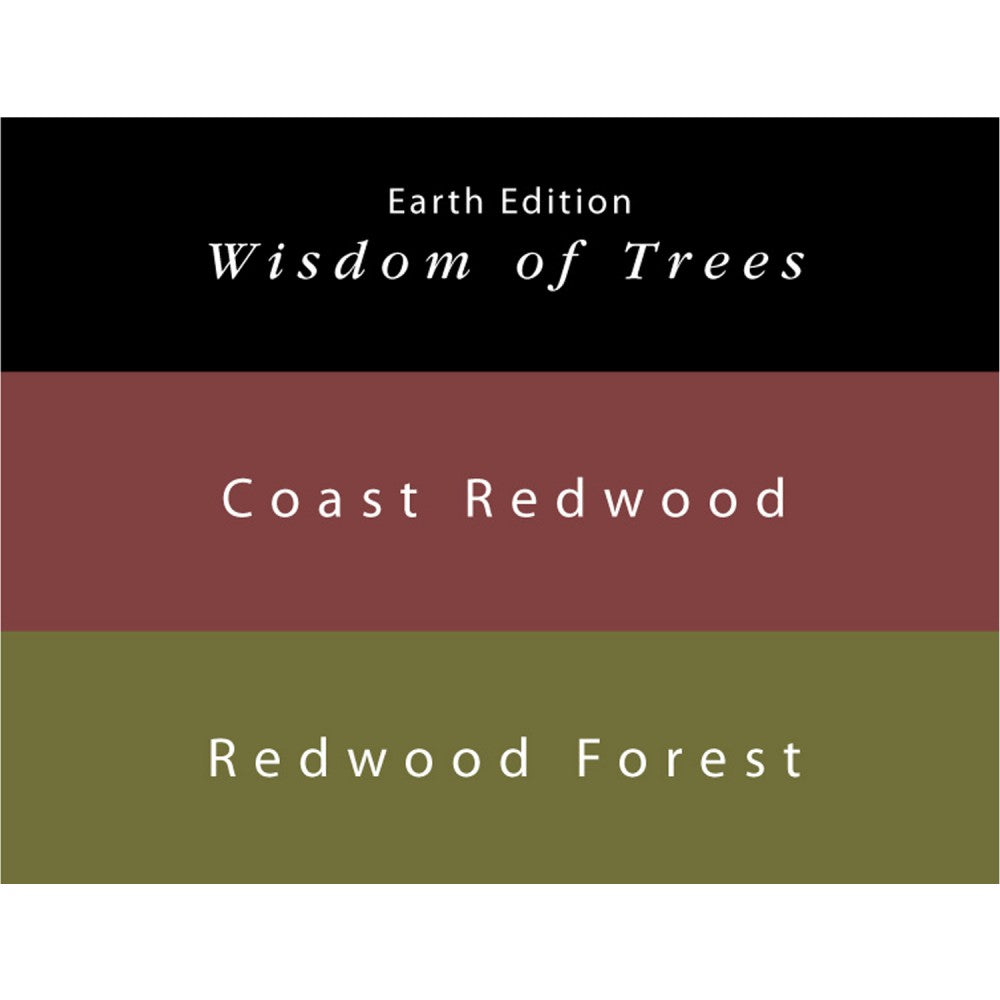 Colorverse | Earth Edition | Coast Redwood (Brown) - Redwood Forest (Dark Green) | Fountain Pen Ink | 65ml and 15ml | 2 Bottle Set - Aarcaai