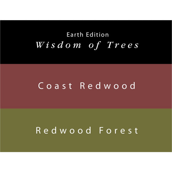 Colorverse | Earth Edition | Coast Redwood (Brown) - Redwood Forest (Dark Green) | Fountain Pen Ink | 65ml and 15ml | 2 Bottle Set - Aarcaai