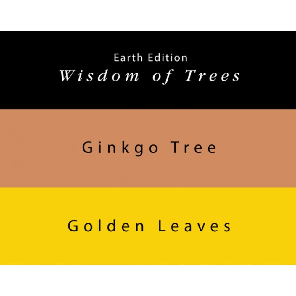 Colorverse | Earth Edition | Ginkgo Tree Light Brown | Golden Leaves Yellow | Fountain Pen Ink | 65ml and 15ml | 2 Bottle Set - Aarcaai