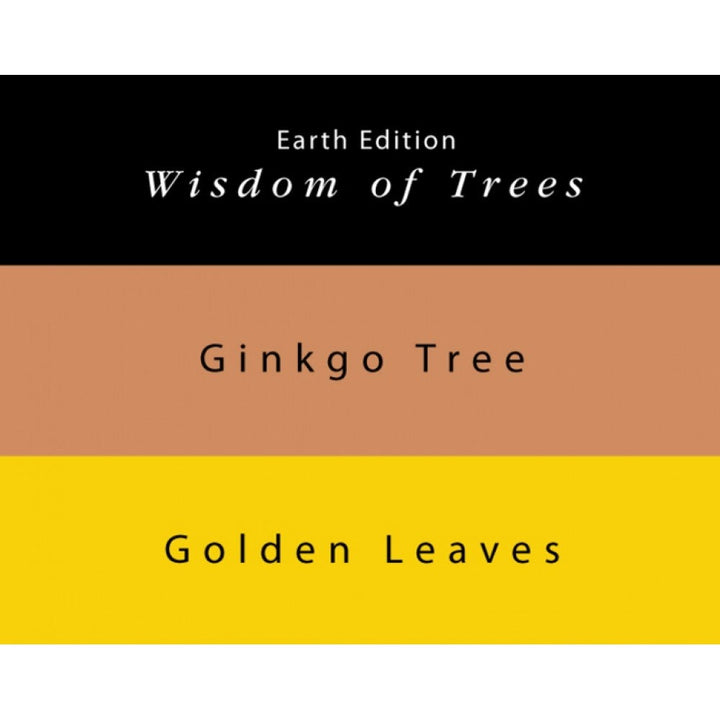 Colorverse | Earth Edition | Ginkgo Tree Light Brown | Golden Leaves Yellow | Fountain Pen Ink | 65ml and 15ml | 2 Bottle Set - Aarcaai