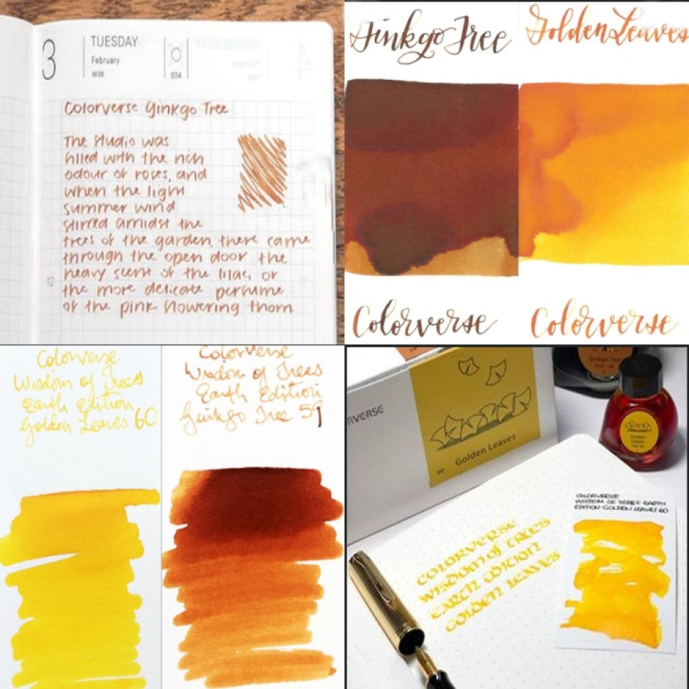 Colorverse | Earth Edition | Ginkgo Tree Light Brown | Golden Leaves Yellow | Fountain Pen Ink | 65ml and 15ml | 2 Bottle Set - Aarcaai
