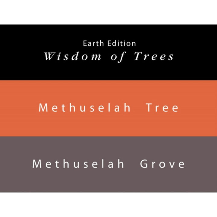 Colorverse Ink | Methuselah Tree | Light Brown | Earth Edition | 65ml &amp; 15ml Set - Aarcaai