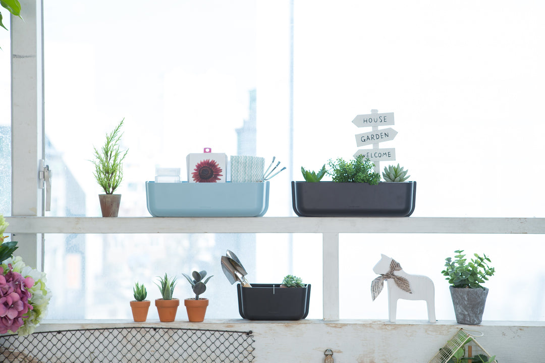 Litem | Wall Mounted | Organizer |  Mint | Myroom | For Office  Home &amp; Kitchen