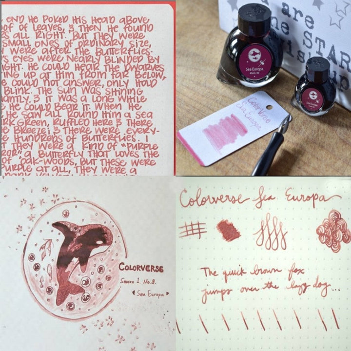 Colorverse Ink | Spaceward Series | Sea Europa | Red | 65ml &amp; 15ml | 2 Bottle Set - Aarcaai
