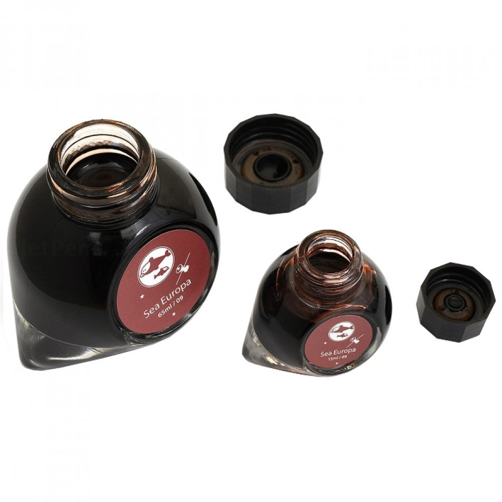Colorverse Ink | Spaceward Series | Sea Europa | Red | 65ml &amp; 15ml | 2 Bottle Set - Aarcaai