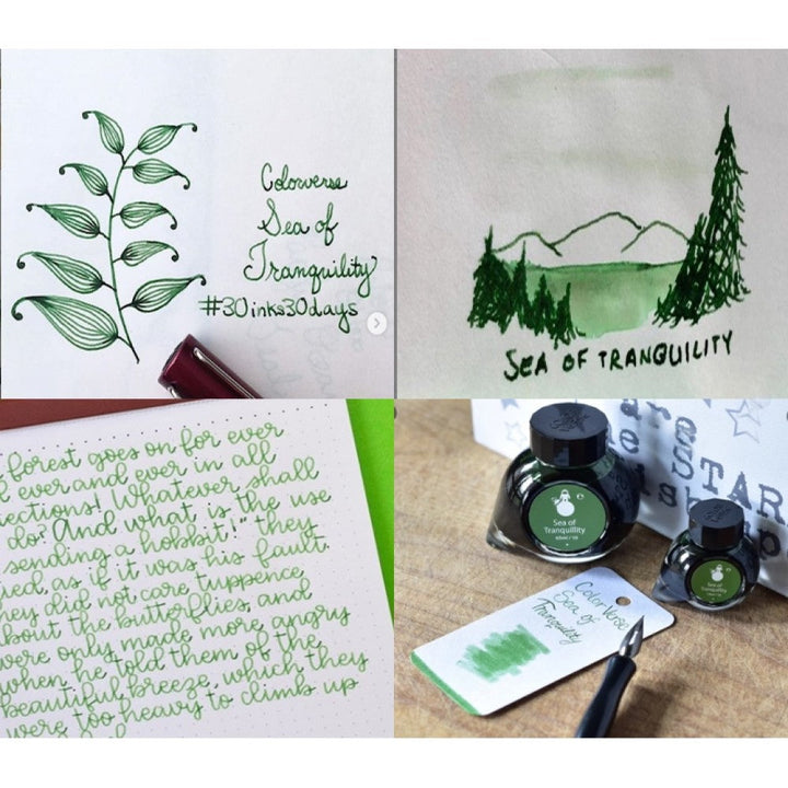 Colorverse Ink | Spaceward Series | Sea Of Tranquility | Green | 65ml &amp; 15ml | 2 Bottle Set - Aarcaai