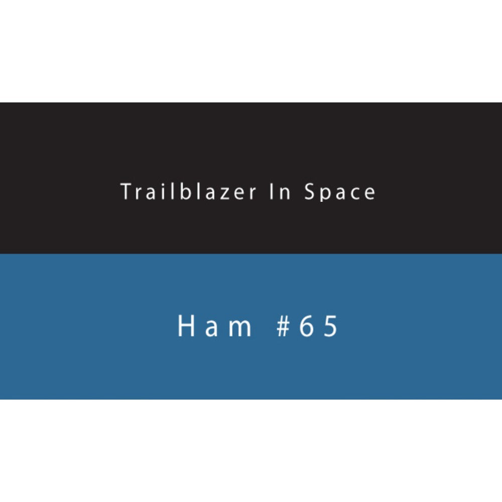 Colorverse Ink | Trailblazer In Space | HAM 65 | Dark Blue | 65ml &amp; 15ml | 2 Bottle Set - Aarcaai