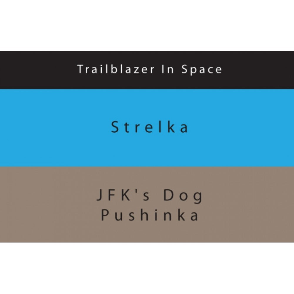 Colorverse Ink | Trailblazer In Space | Strelka | Blue | 65ml &amp; 15ml | 2 Bottle Set - Aarcaai