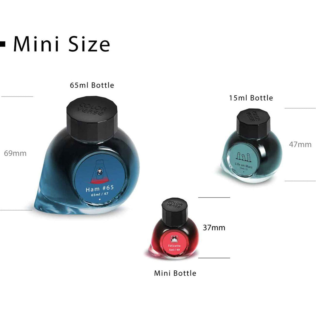 Colorverse Fountain Pen Ink Mini | 5ml | Selectron | Black – AARCAAI