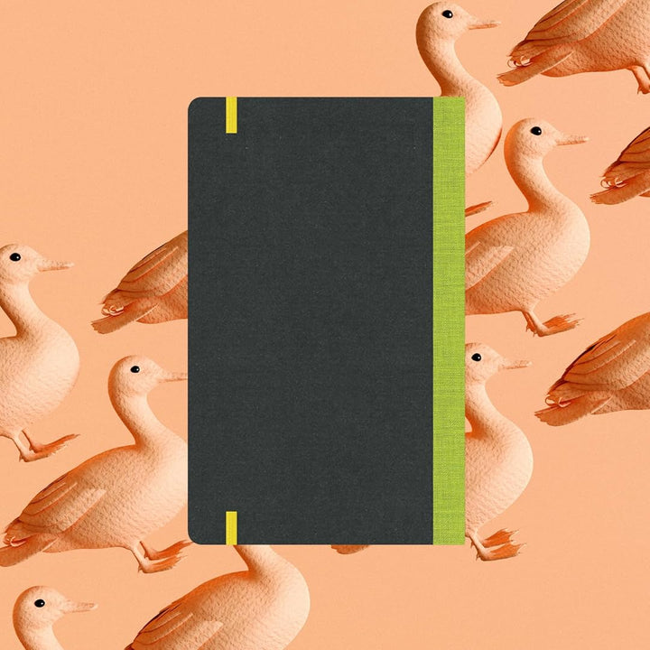 Flexbook | Open Date | Medium A5 Size Planner | Light Green | Flex Global