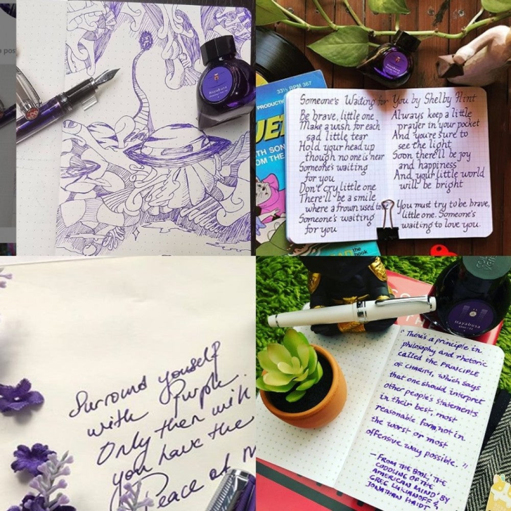 Colorverse | Hayabusa | Fountain Pen Ink | Special Edition | Purple | 65ml and 15ml | 2 Bottle Set - Aarcaai