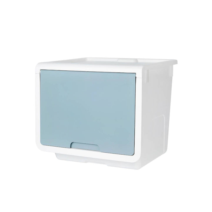 Litem | Multi Utility Storage  Box |Organizer  | Mint | Roomax Cube Plus | For Office & Home