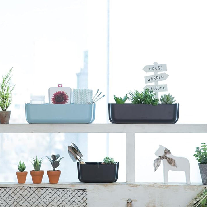 Litem | Wall Mounted | Organizer |  Dark Grey | Myroom | For Office  Home &amp; Kitchen