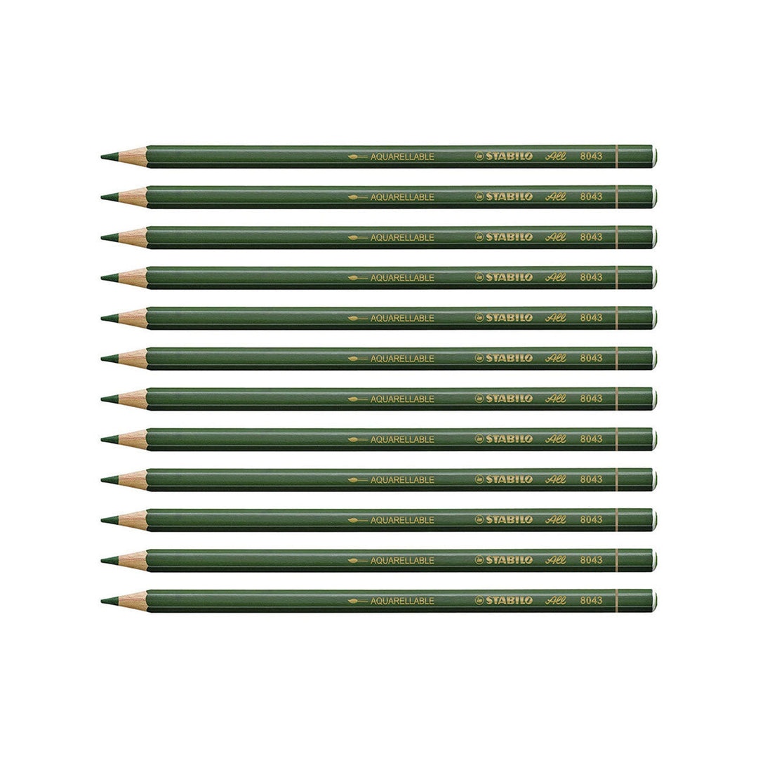 STABILO All Colored and Graphite Pencil – Green (Pack of 12)